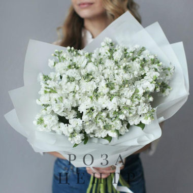 Букет из 25 белых маттиол