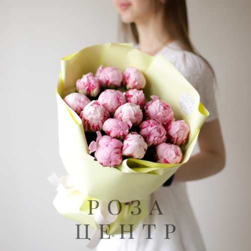 Пионы розовые в оформлении (15 шт) №1684