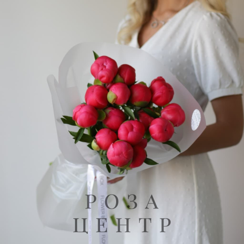 Пионы в нежном оформлении (15 шт) №1644 Пионы в нежном оформлении (15 шт) №1644