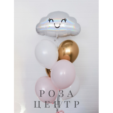 Набор № 1010